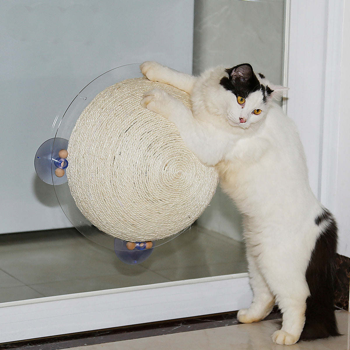 Suction Cup Cat Scratcher