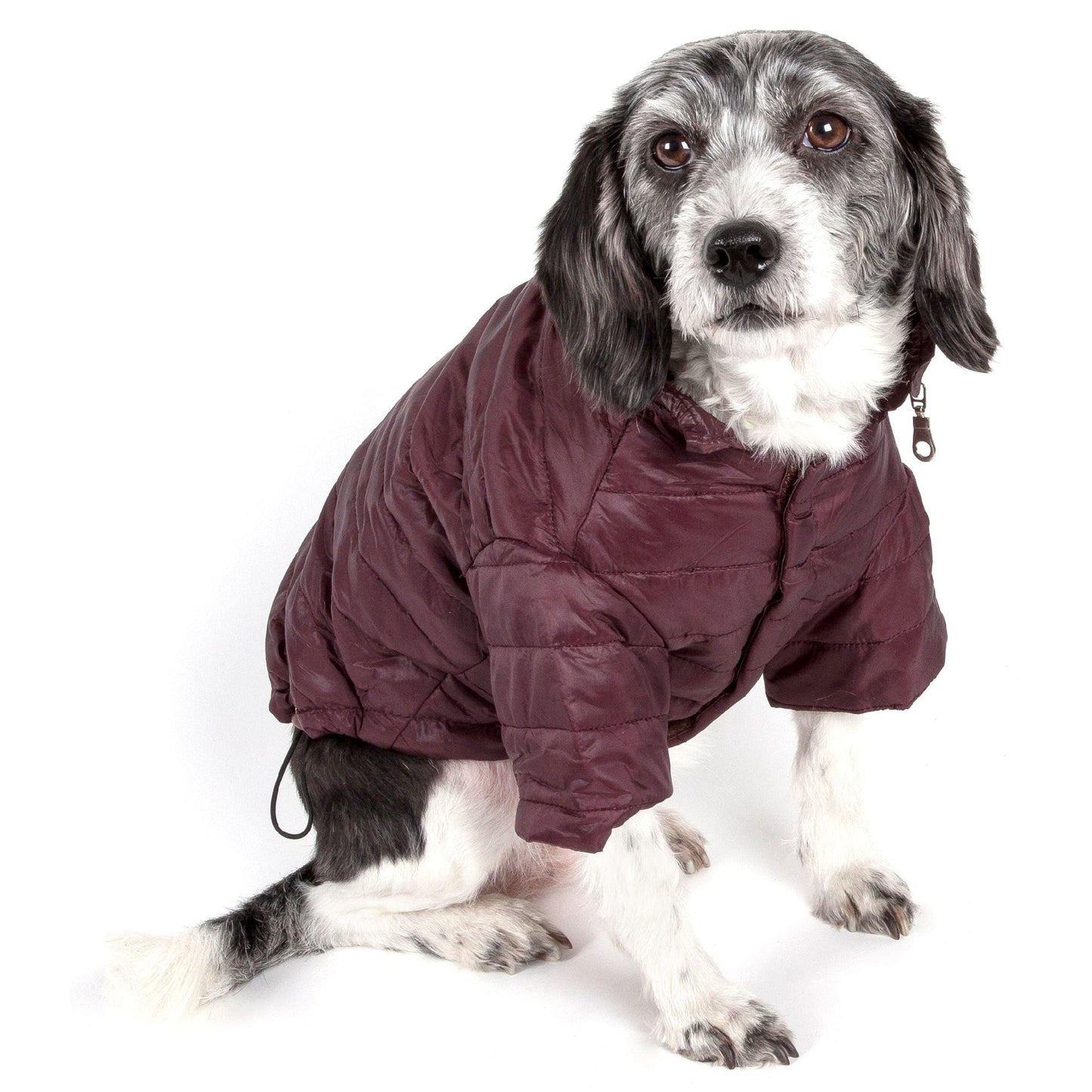 Adjustable lightweight pet coat