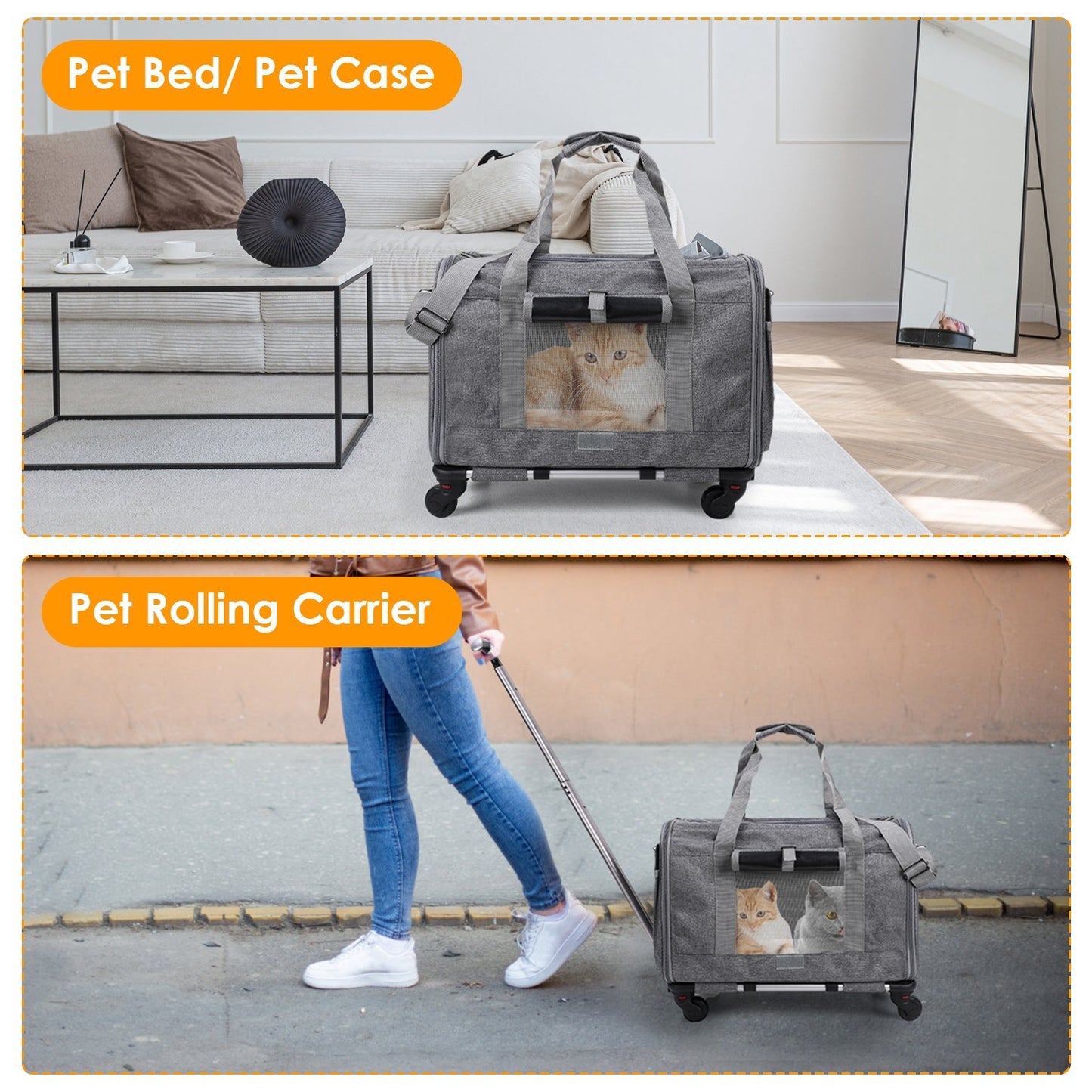 Airline-approved pet carrier with wheels Transport