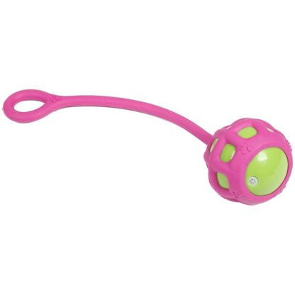 The 'Tug-O-Warp' dog toy features a durable rubber material, squeaking ball, and tugging handle. - Wolldi