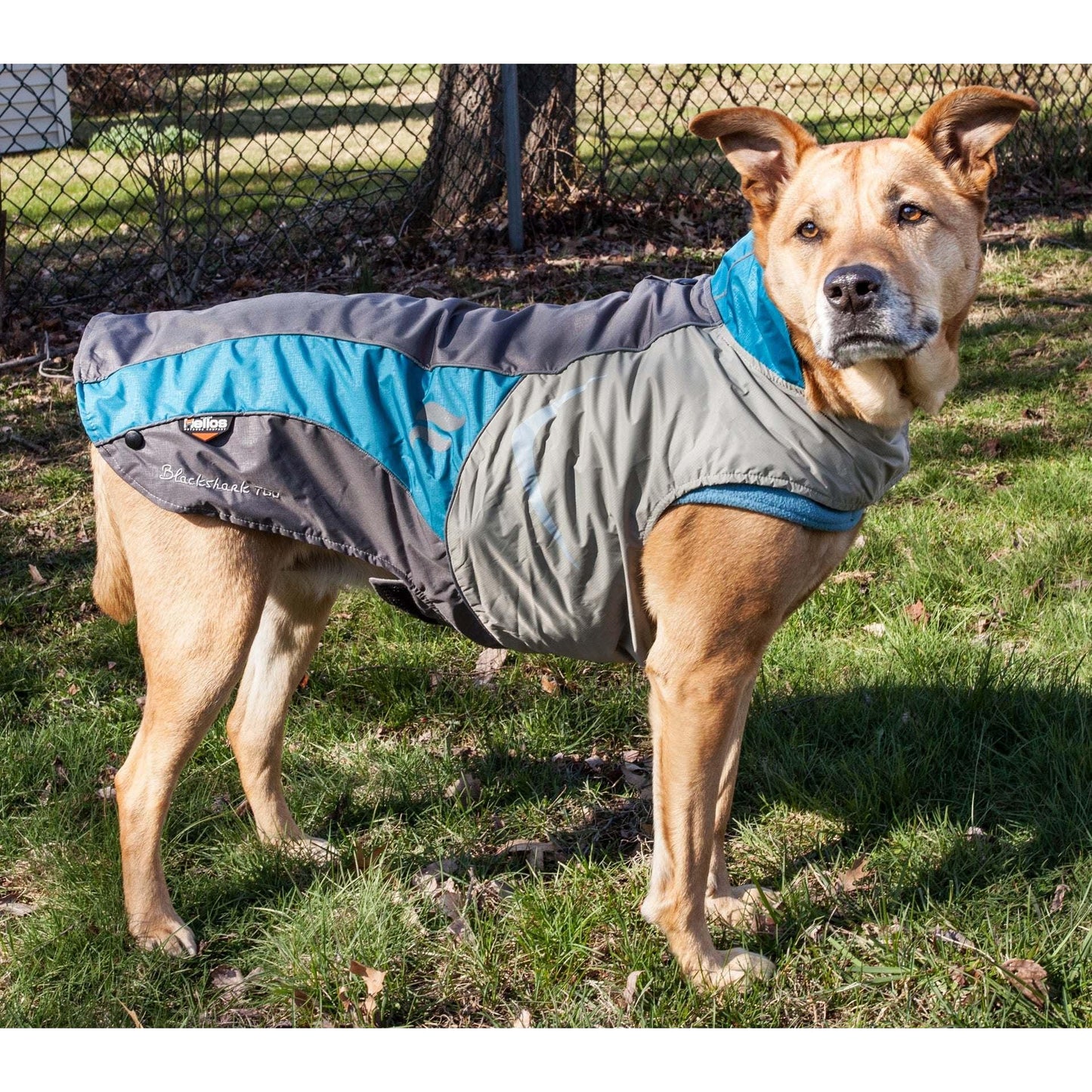 Waterproof convertible dog jacket Fashion