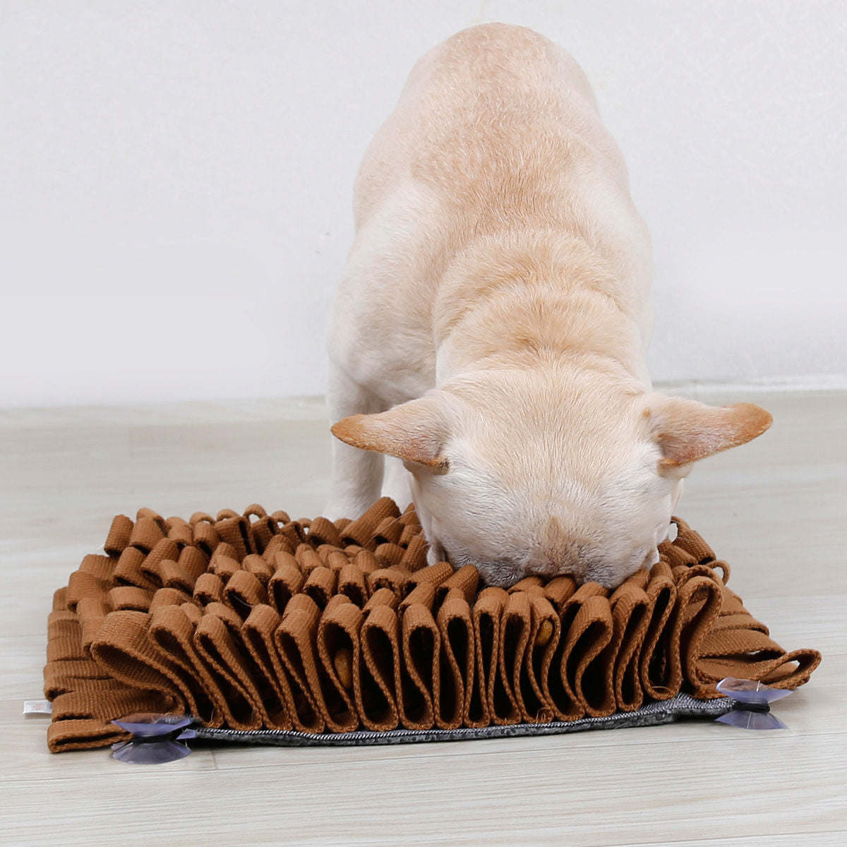 The Pet Life 'Sniffer Grip' is a suction-based snuffle mat for pets, perfect for cognitive development and digestive aid. - Wolldi