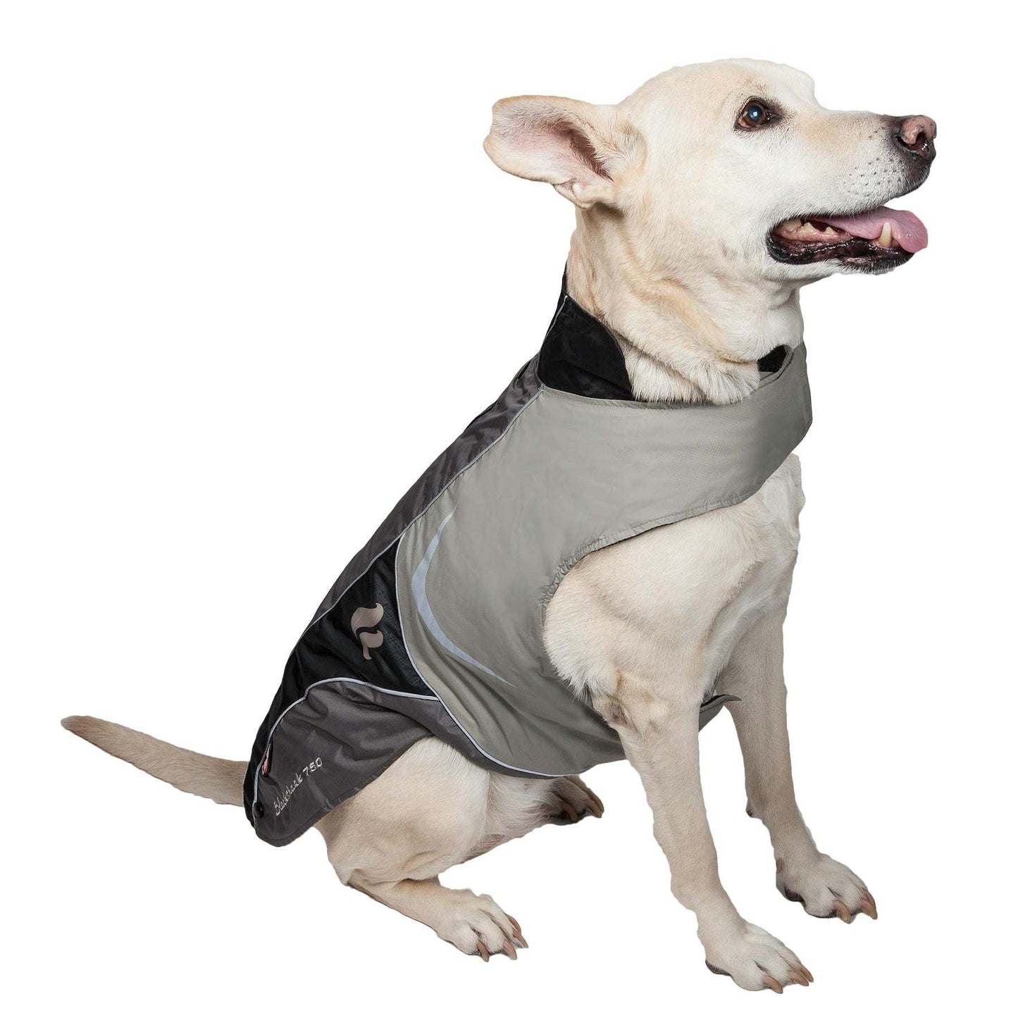 Waterproof Dog Jacket Fashion