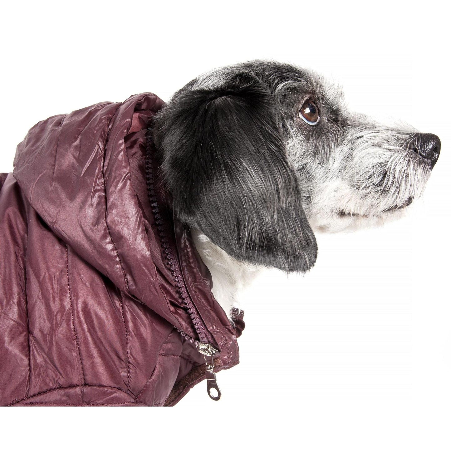 Adjustable lightweight pet coat