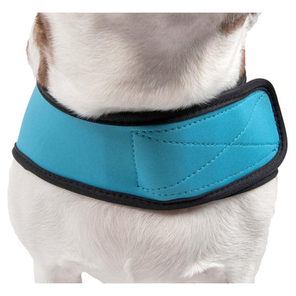 Versatile Dog Coat Fashion