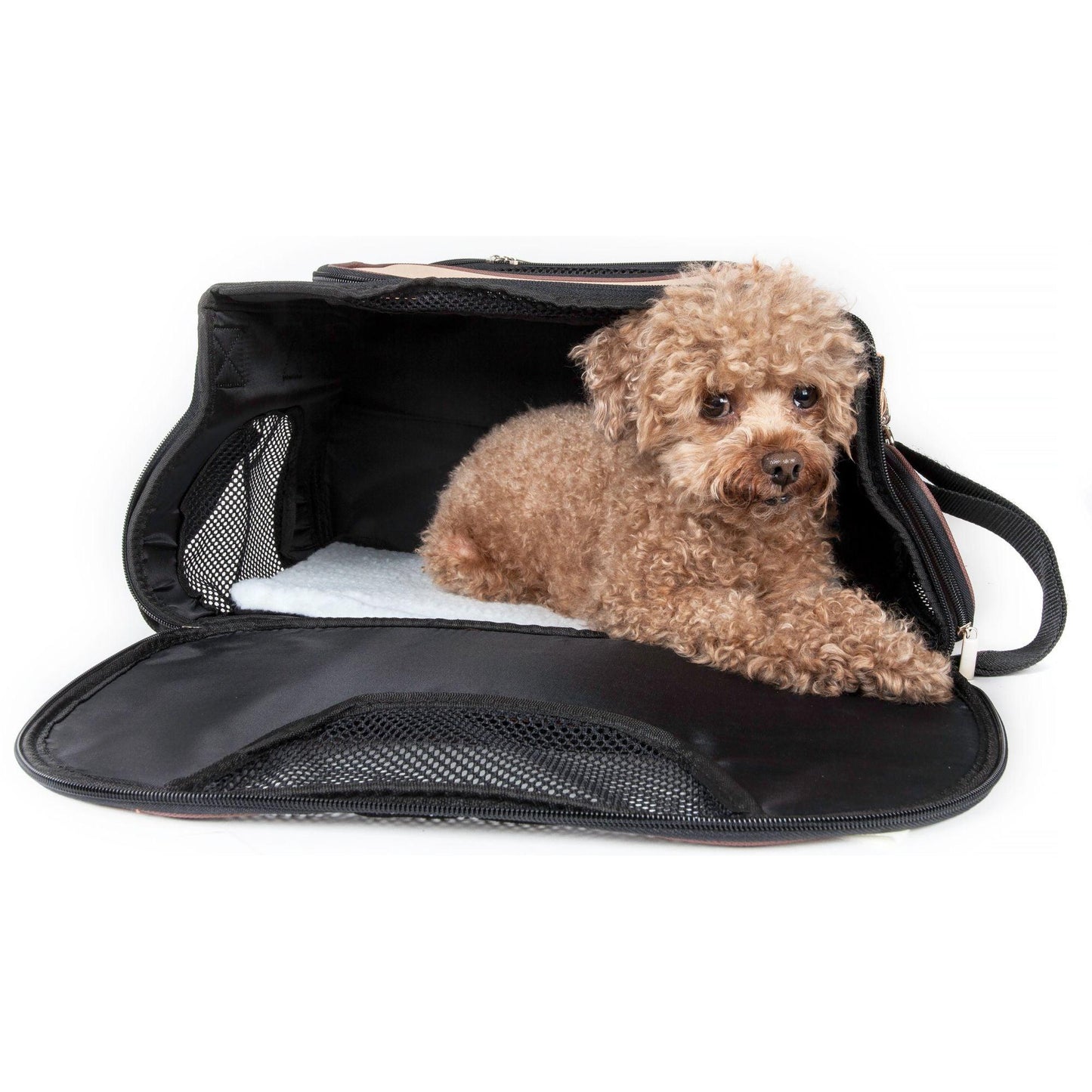 Airline pet carrier Explorer
