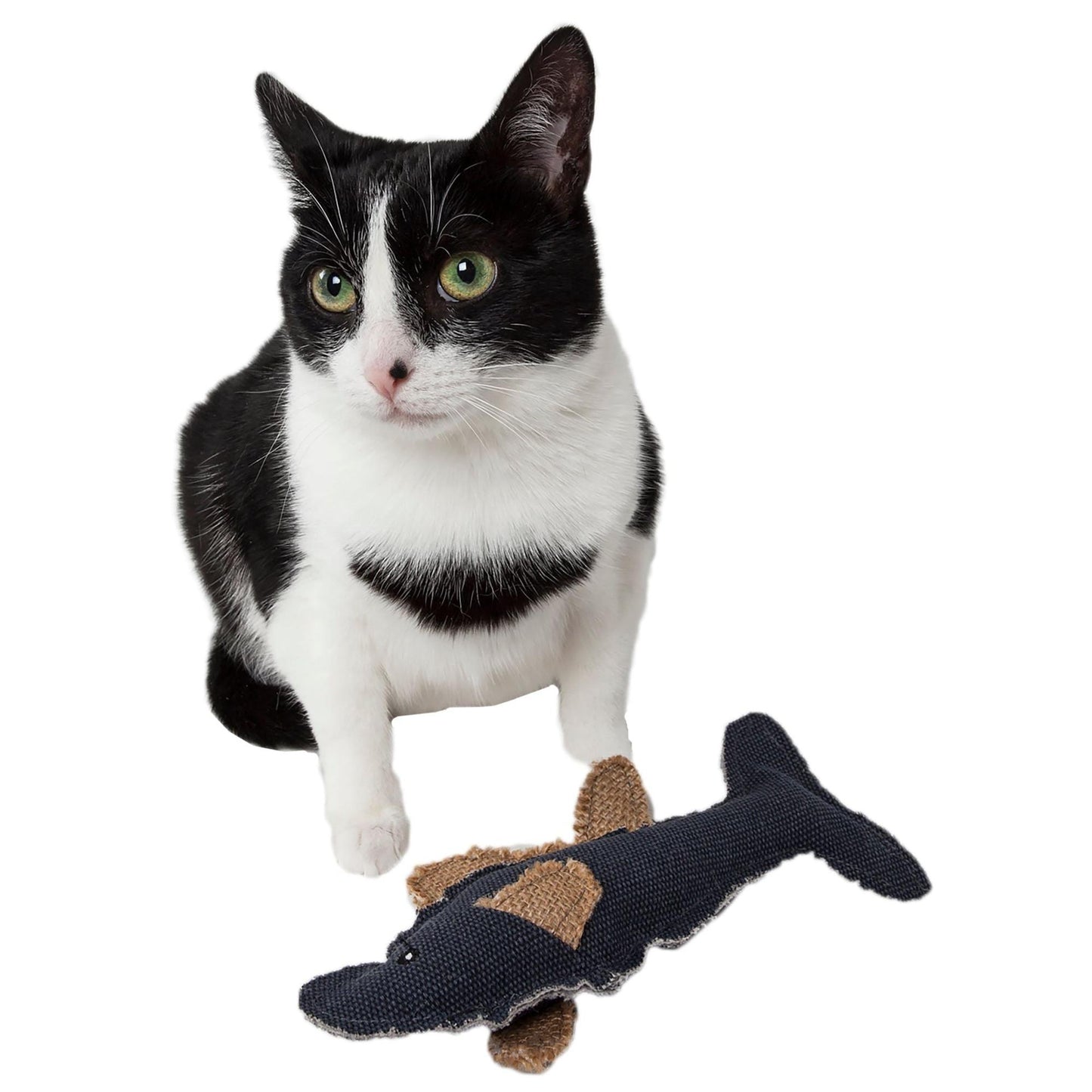 Durable fish plush cat toy with catnip and reinforced stitching. - Wolldi