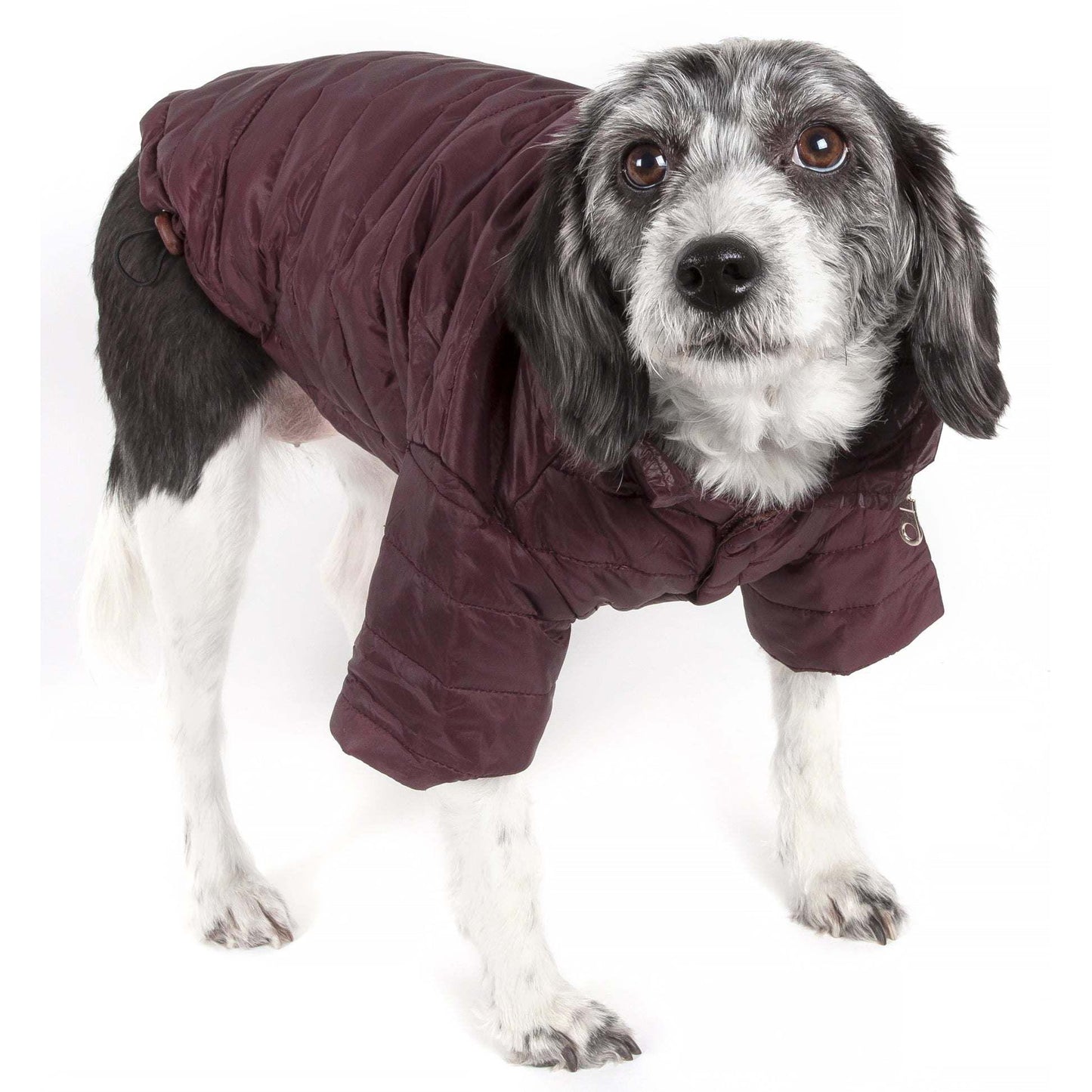 Adjustable lightweight pet coat