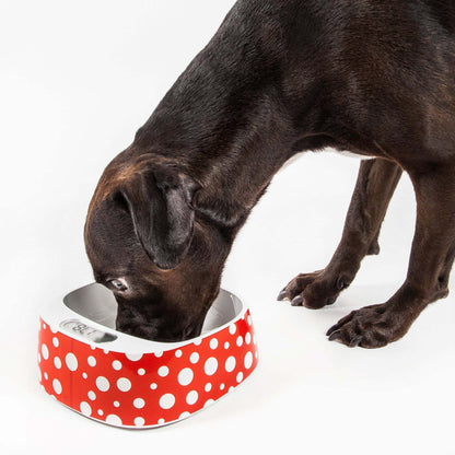 Smart Pet Bowl with Food Tracking