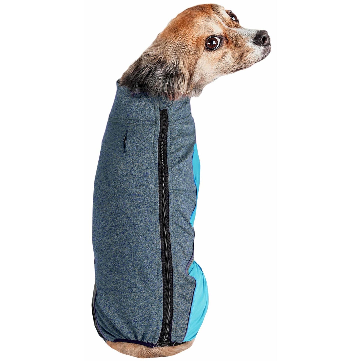 Tracksuit for Pets Canina