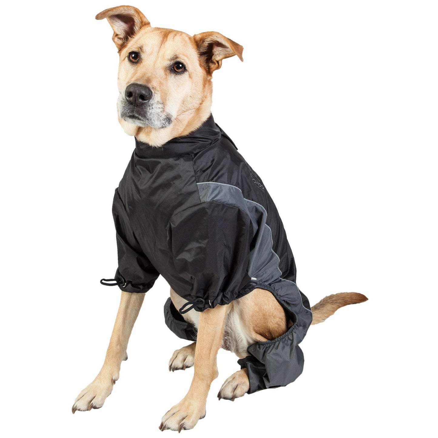 Windproof Waterproof Dog Jacket