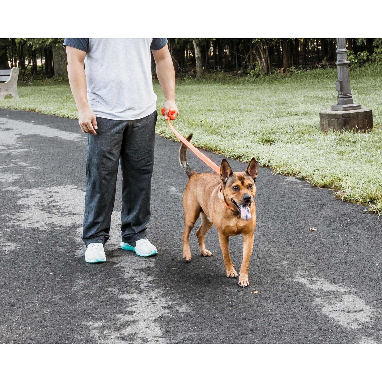 Breathable adjustable dog leash-colla Straps