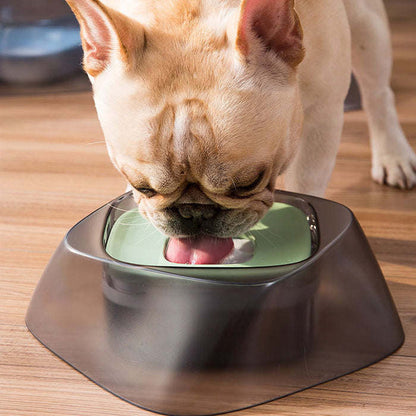 Spill-proof pet water bowl with floating splash guard. Dishes