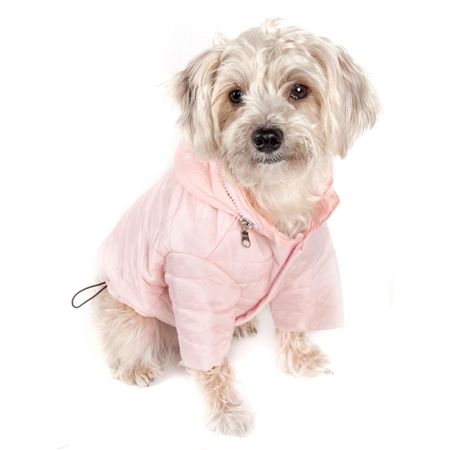 Sporty Dog Coat Fashion