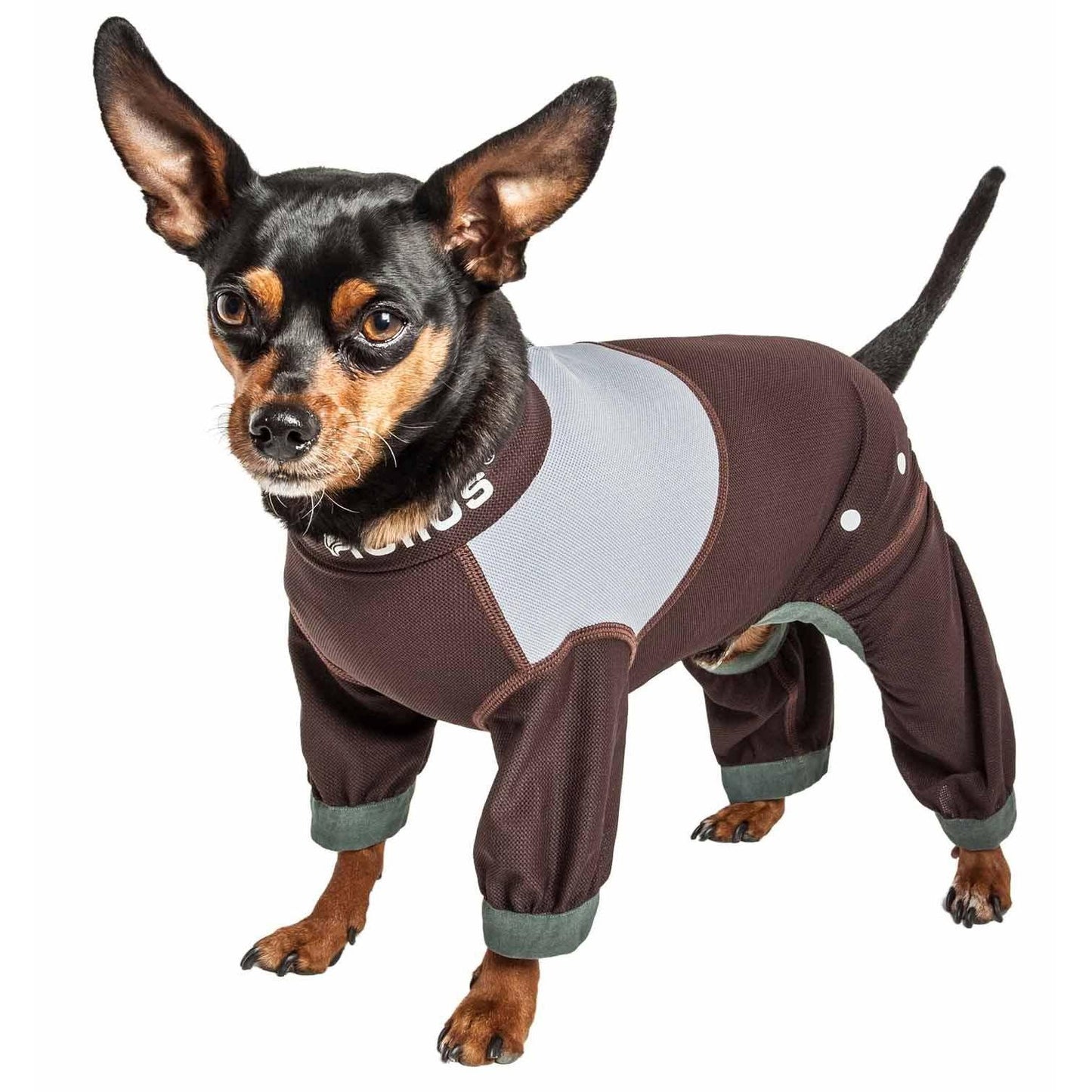 Dog track suit Fashion