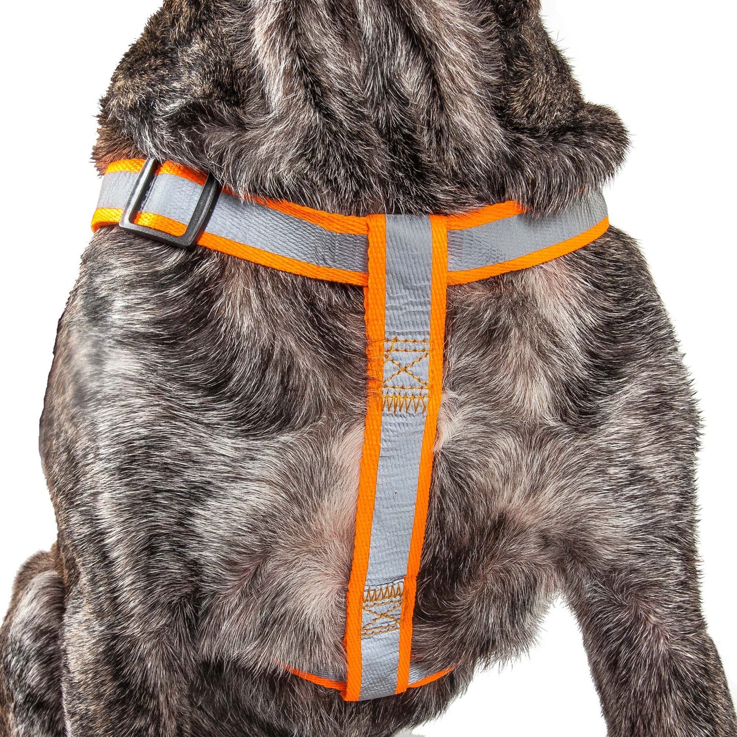 Durable Reflective Dog Leash Harness Combo Straps