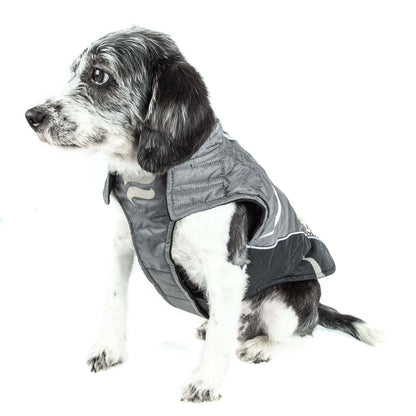 Waterproof and warm dog coat with easy on/off access. Fashion