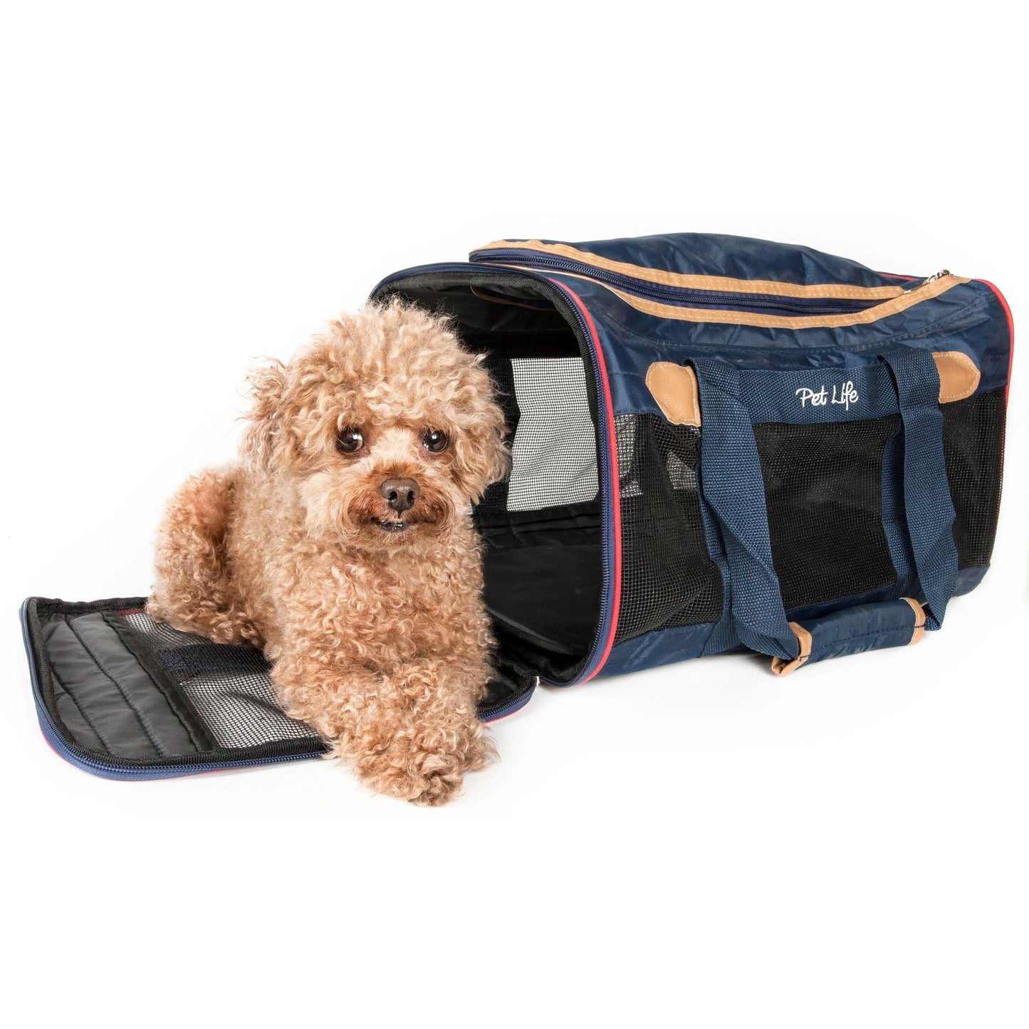 Sturdy lightweight pet carrier Transport