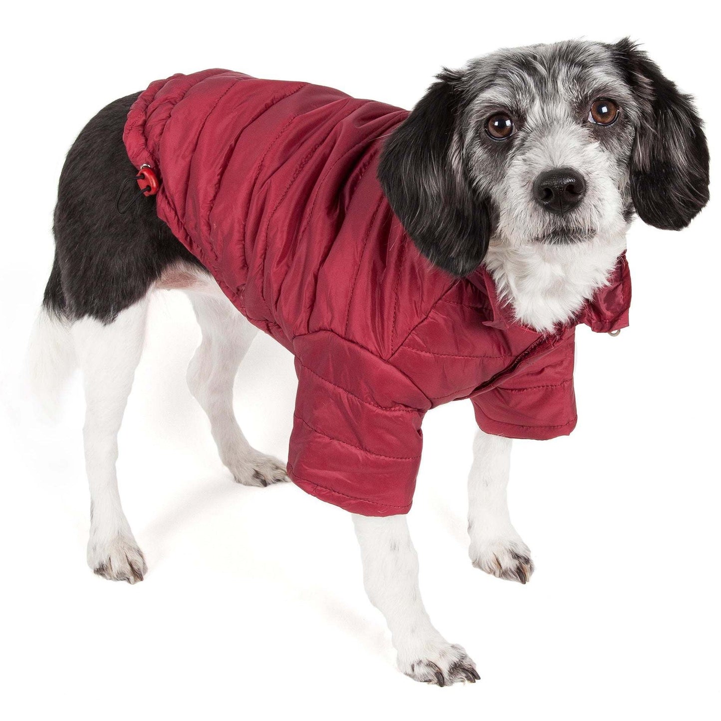 Adjustable Pet Coat Fashion