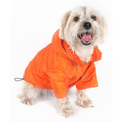 Sporty Avalanche Dog Coat Fashion