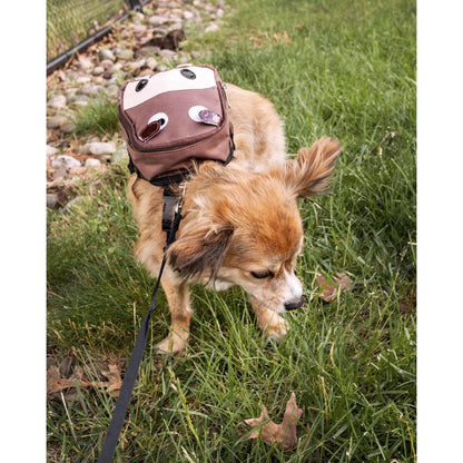 Dog backpack with ample storage Transport