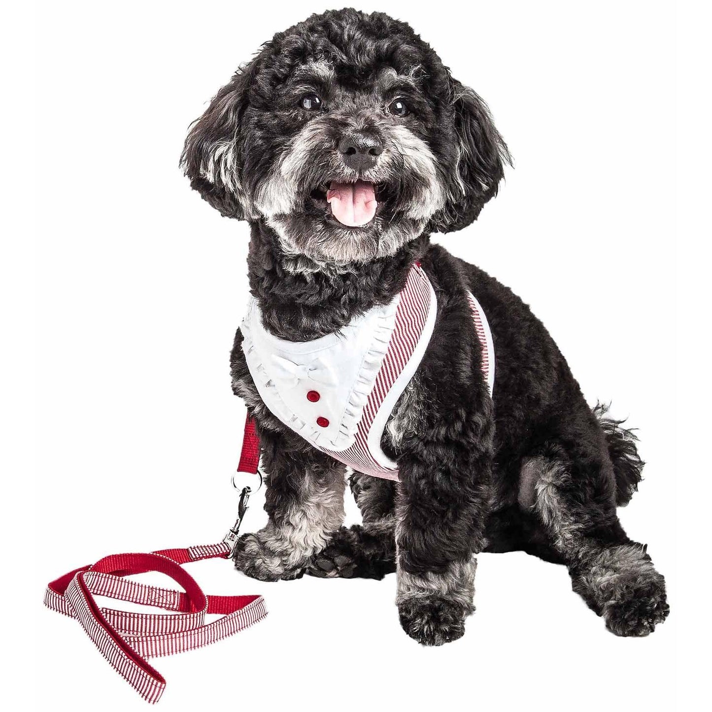 Breathable Adjustable Dog Harness with Bowtie Straps