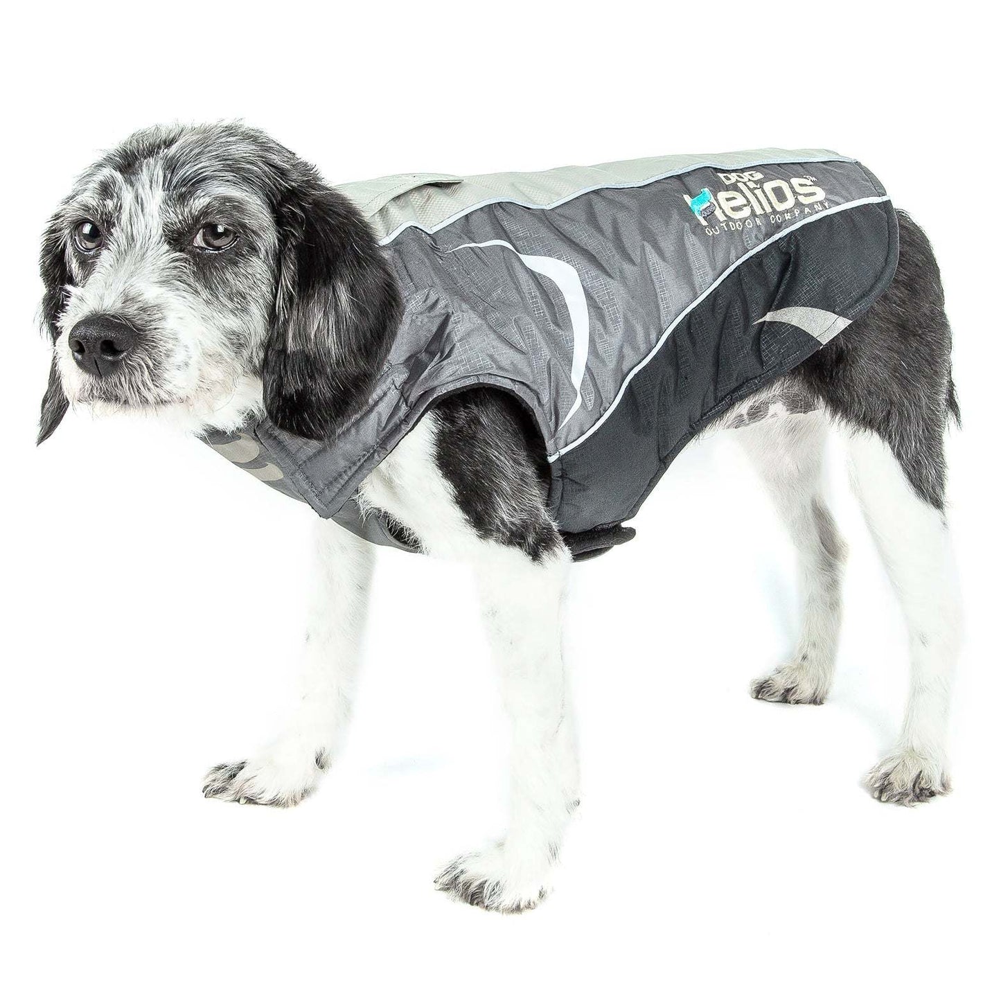 Waterproof and warm dog coat with easy on/off access. Fashion