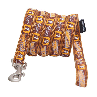 Designer Leash and Collar Combo Straps