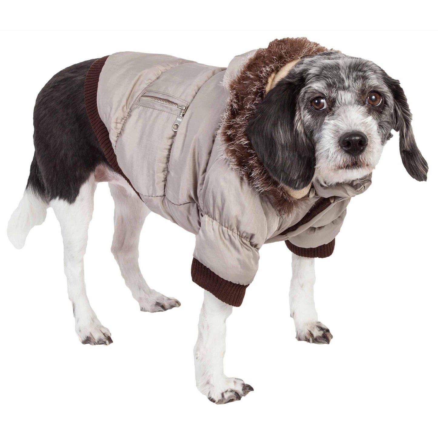 Insulated Pet Parka Coat Fashion