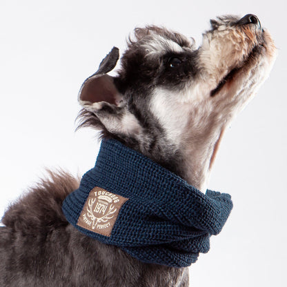 The Touchdog Heavy Knitted Winter Dog Scarf provides exceptional warmth and style. - Wolldi