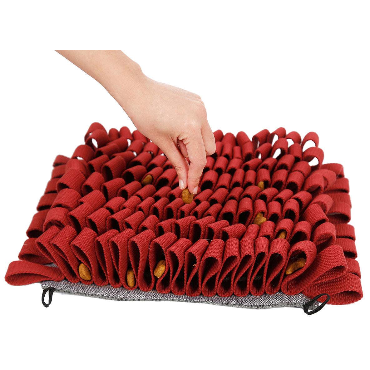 Interactive Pet Snuffle Mat Playtime