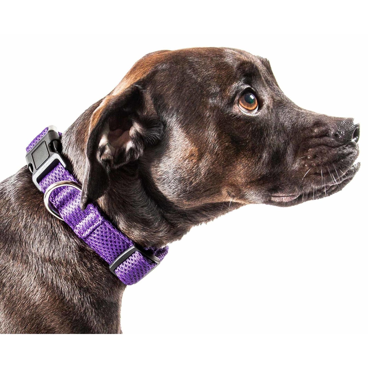 Breathable Dog Collar Straps