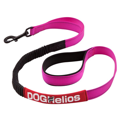 Indestructible dog leash and collar. Straps