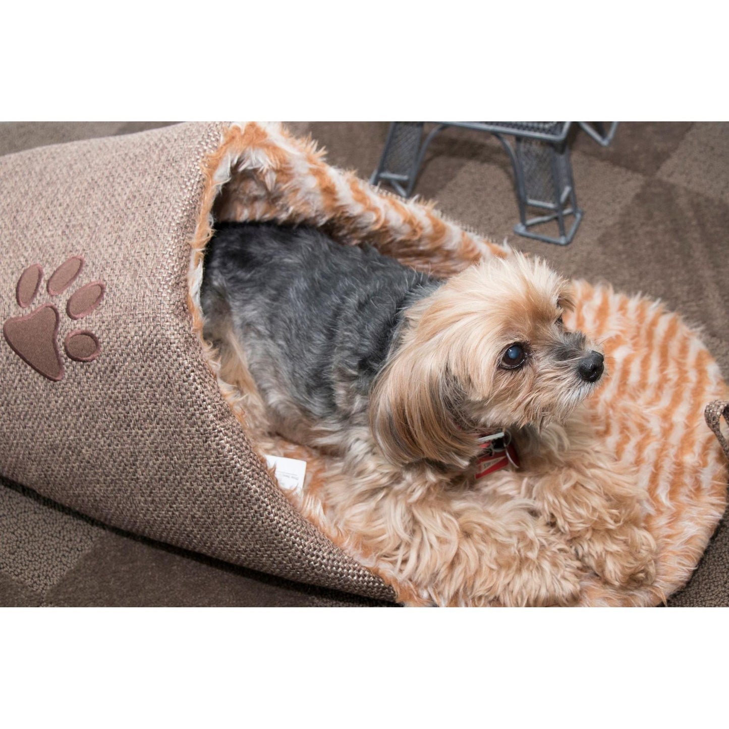 Stylish Slip-On Dog Bed HomeStyle