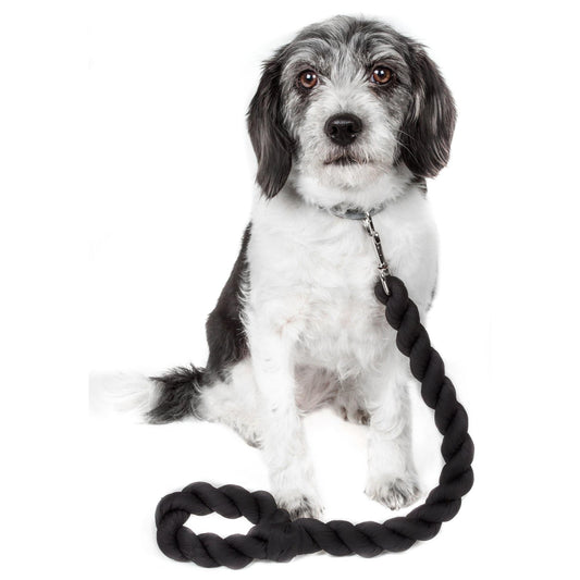 Shock Absorbing Dog Leash Straps