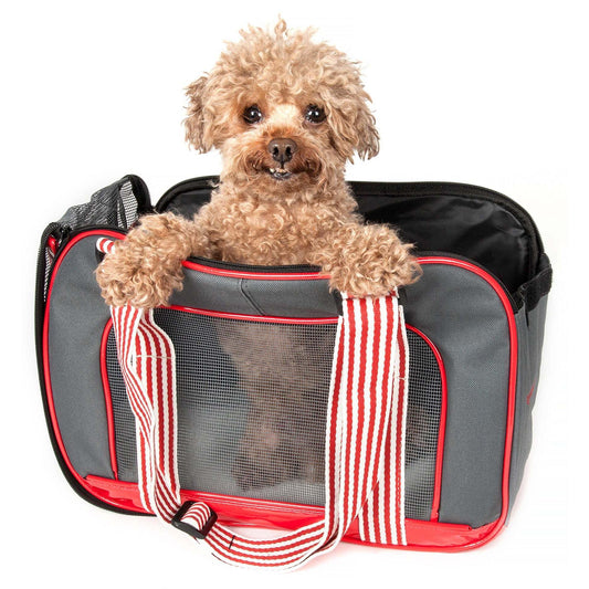 Breathable Mesh Pet Carrier Transport