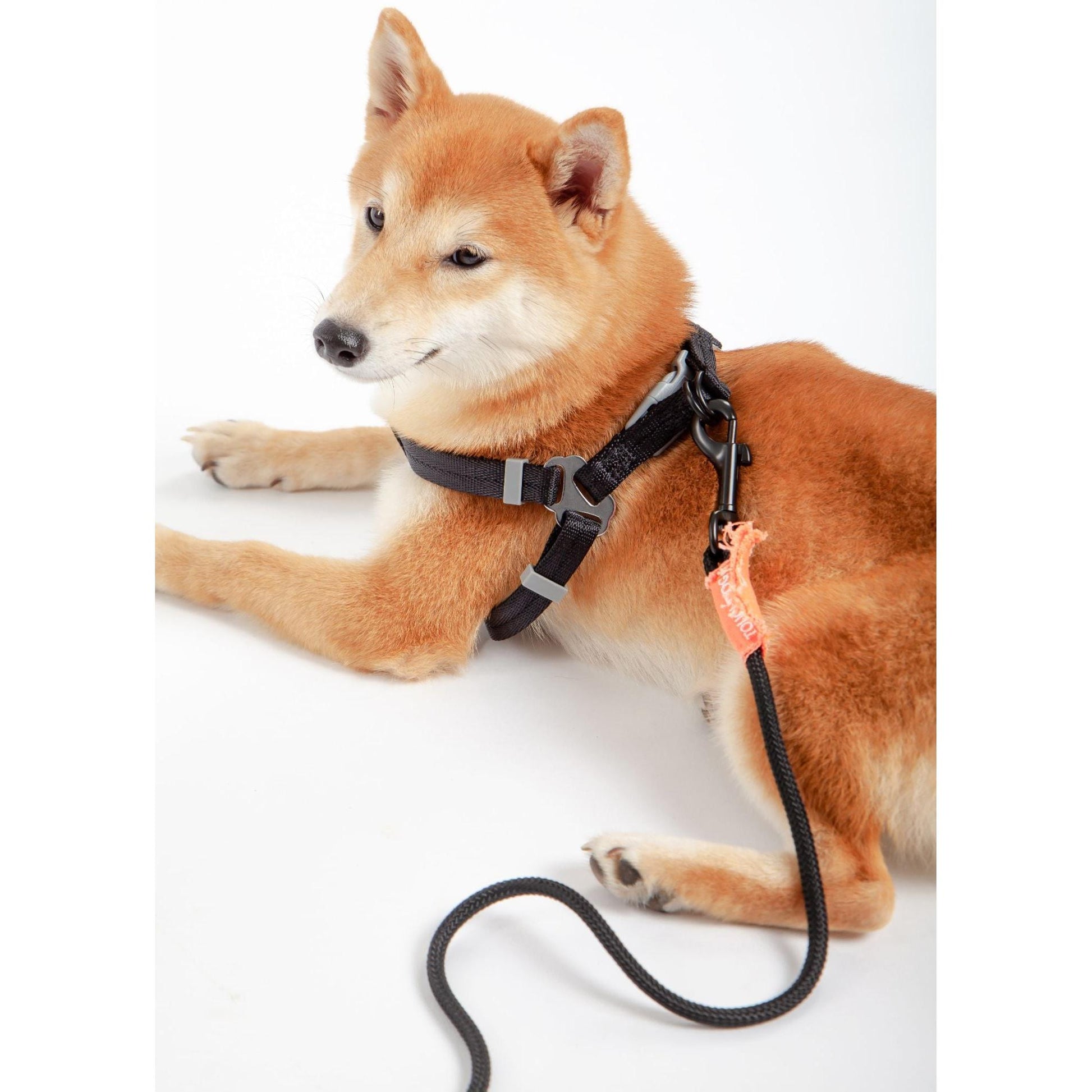 Touchdog 'Macaron' 2-in-1 Nylon Dog Harness and Leash with Comfortable Grip. - Wolldi