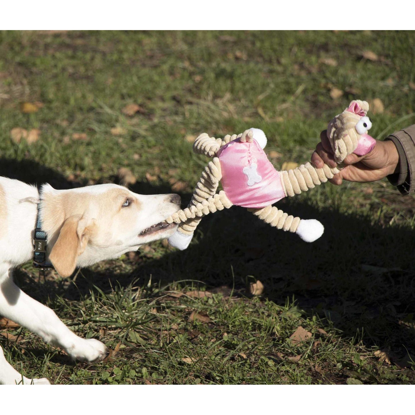 Eco-friendly jute rope dog toy Playtime