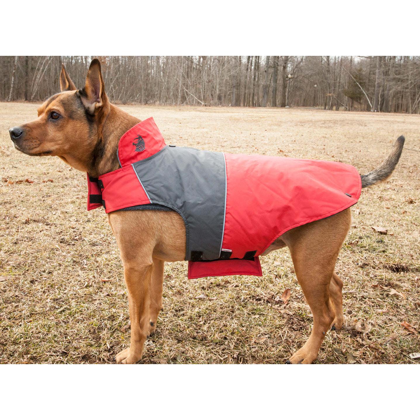 Waterproof dog jacket Fashion