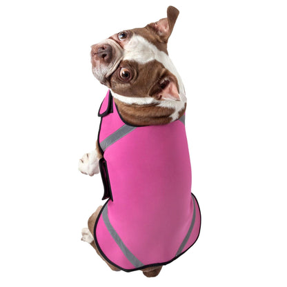 Neoprene adjustable dog coat for recovery and weight loss.