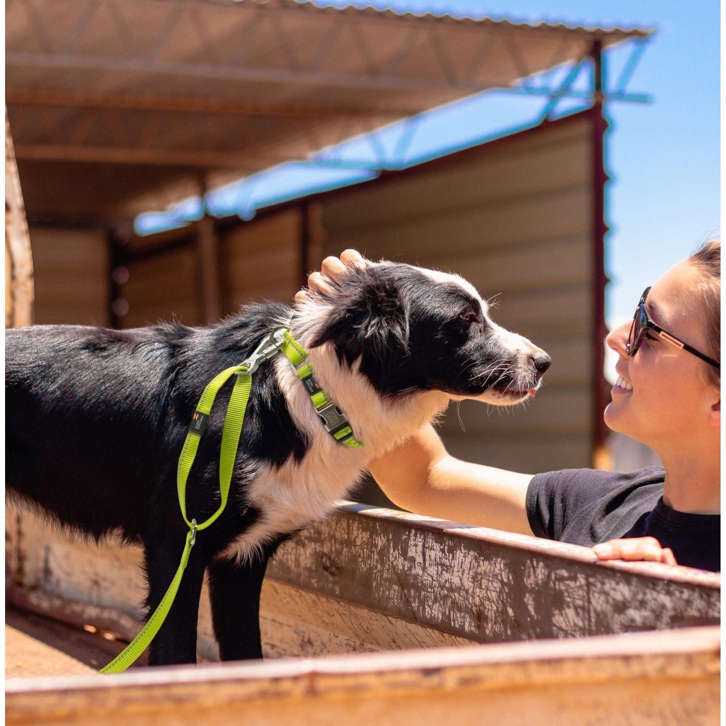 The Pet Life 'Advent' Outdoor Series leash and collar is durable and reflective for safety during walks. - Wolldi