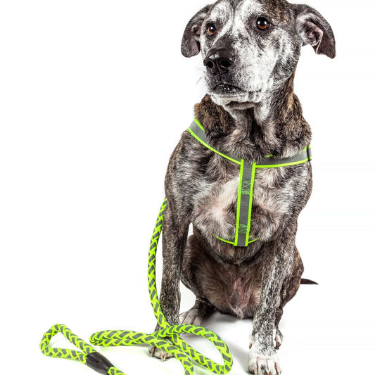 Reflective dog leash and harness Straps