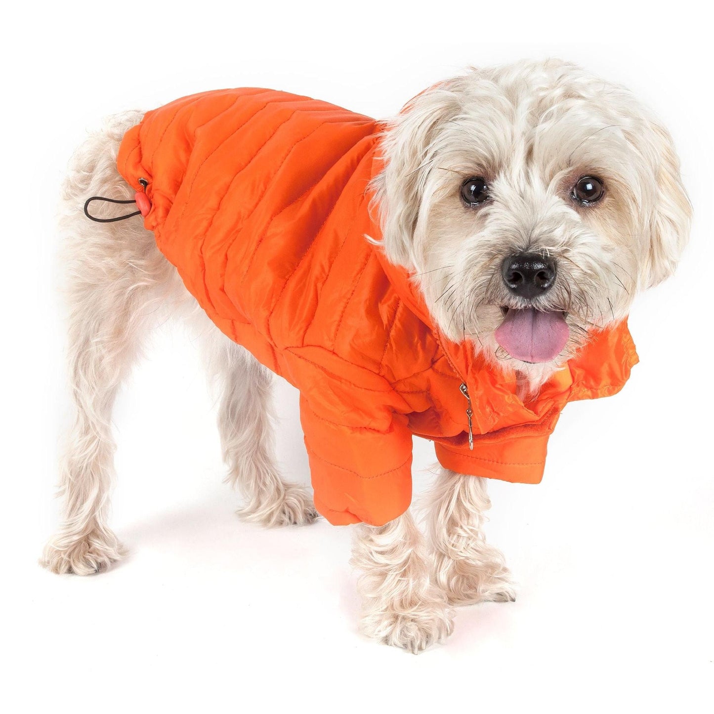 Sporty Avalanche Dog Coat Fashion