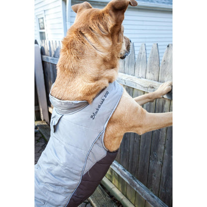 reflective dog coat Fashion