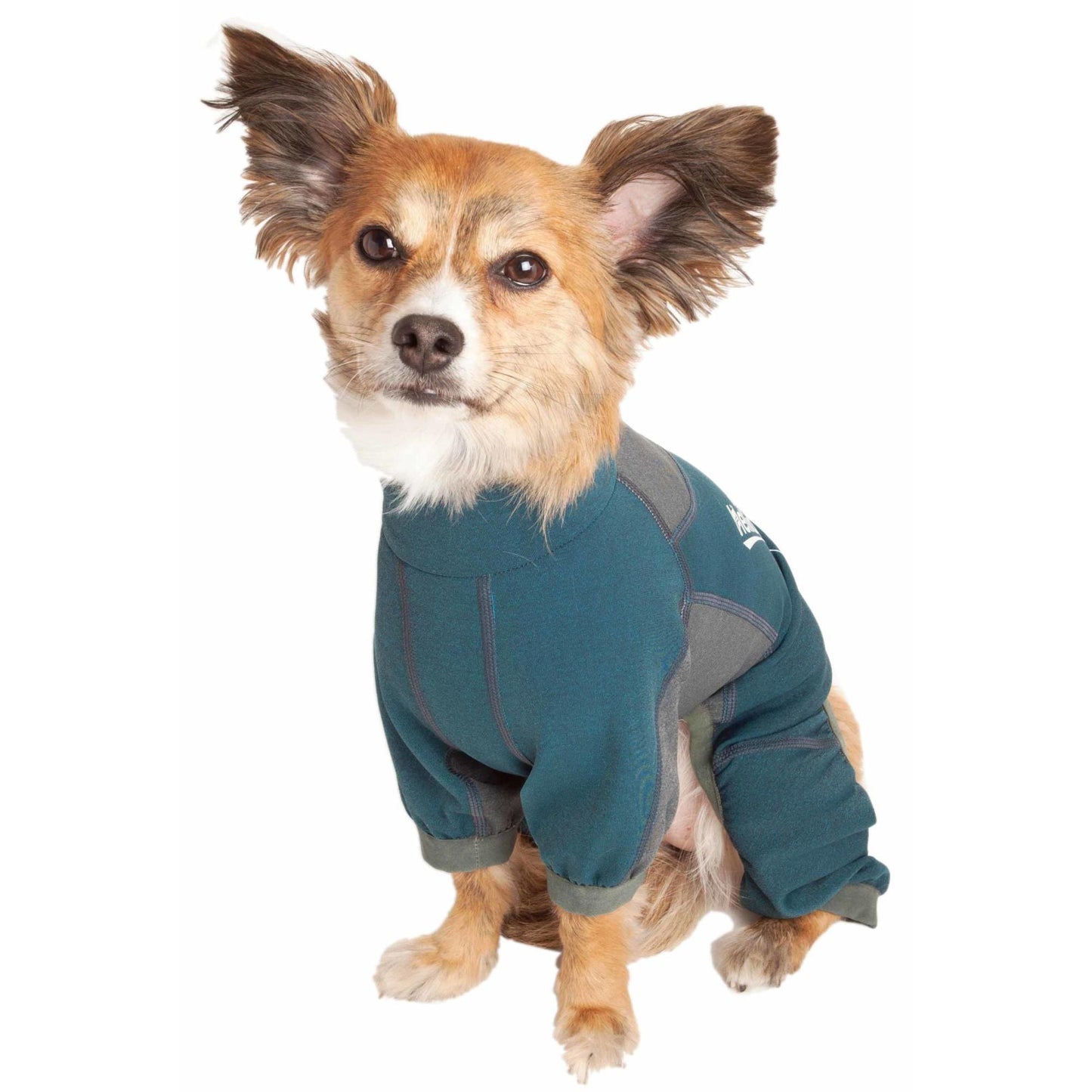 Dog track suit Fashion