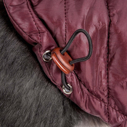 Adjustable lightweight pet coat