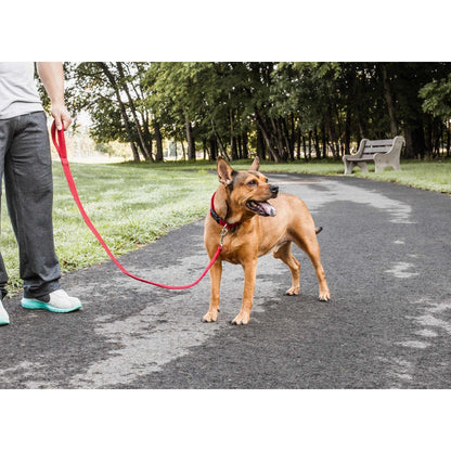 Breathable adjustable dog leash-colla Straps