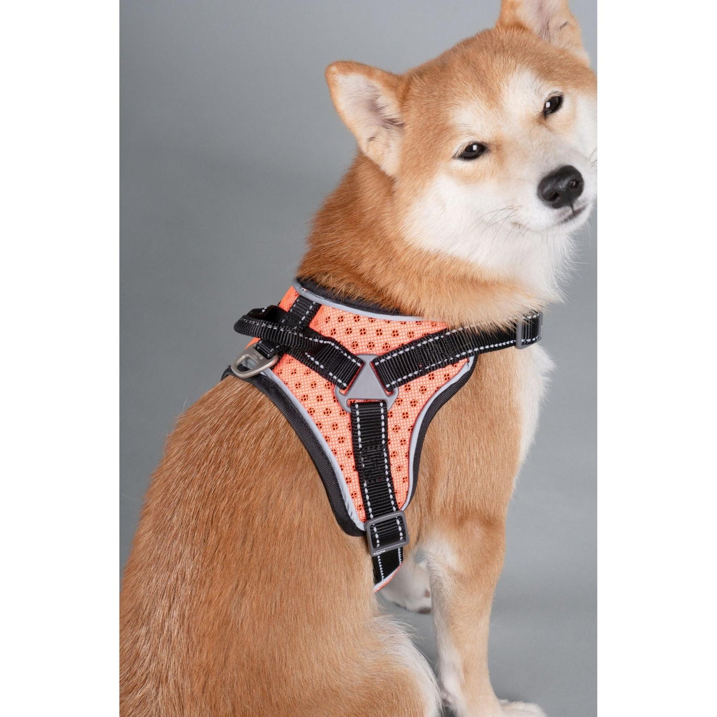 The Dog Helios 'Scorpion' harness offers comfortable and durable high-performance for dogs. - Wolldi