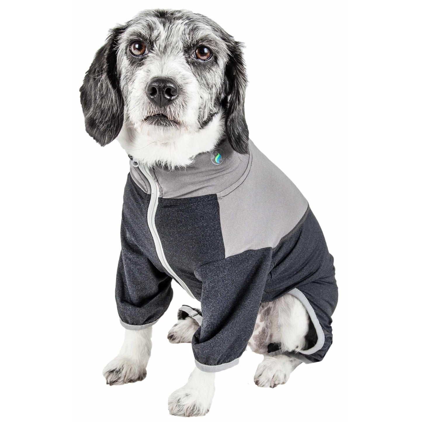 Lightweight UV protection tracksuit for dogs. Fashion