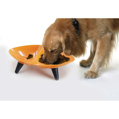 Durable double dog bowl Dishes